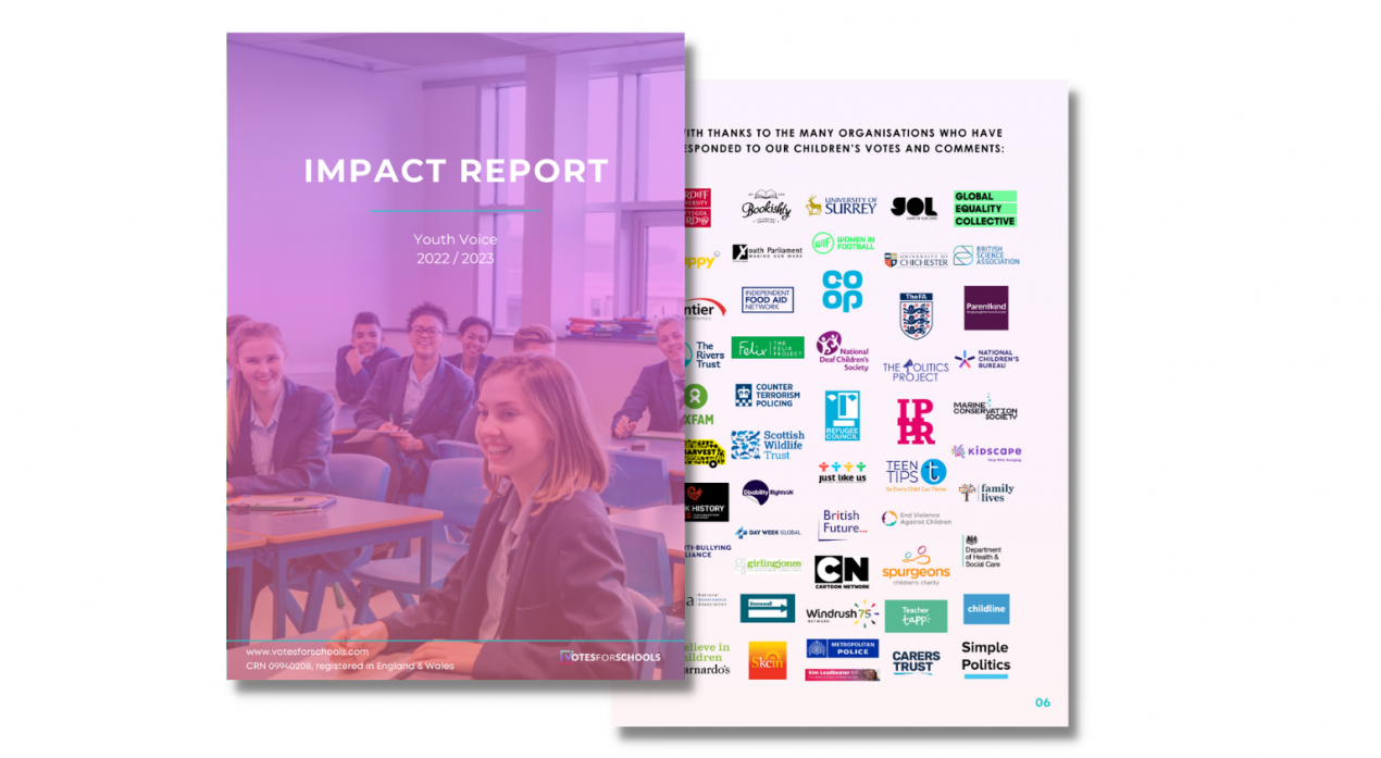 Impact Report Image example