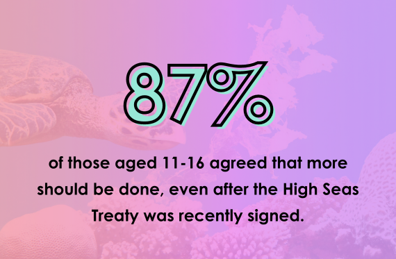 87% of those aged 11-16 agreed that more should be done, even after the High Seas Treaty was recently signed.