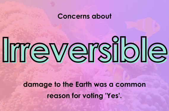 Concerns about irreversible damage was a common reason for voting yes