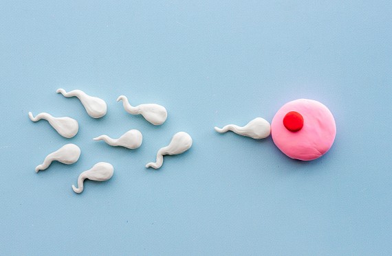 Sperm travelling to egg in child friendly depiction