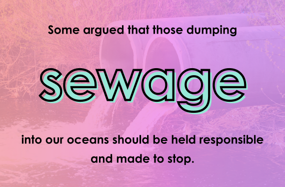 Some argued that those dumping sewage into our oceans should be held responsible and made to stop.